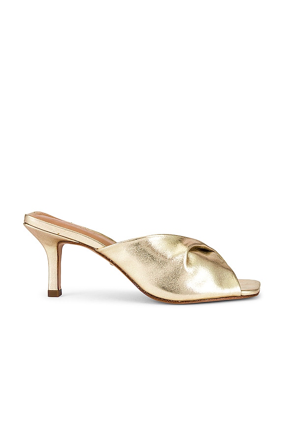 RAYE Dane Heel
