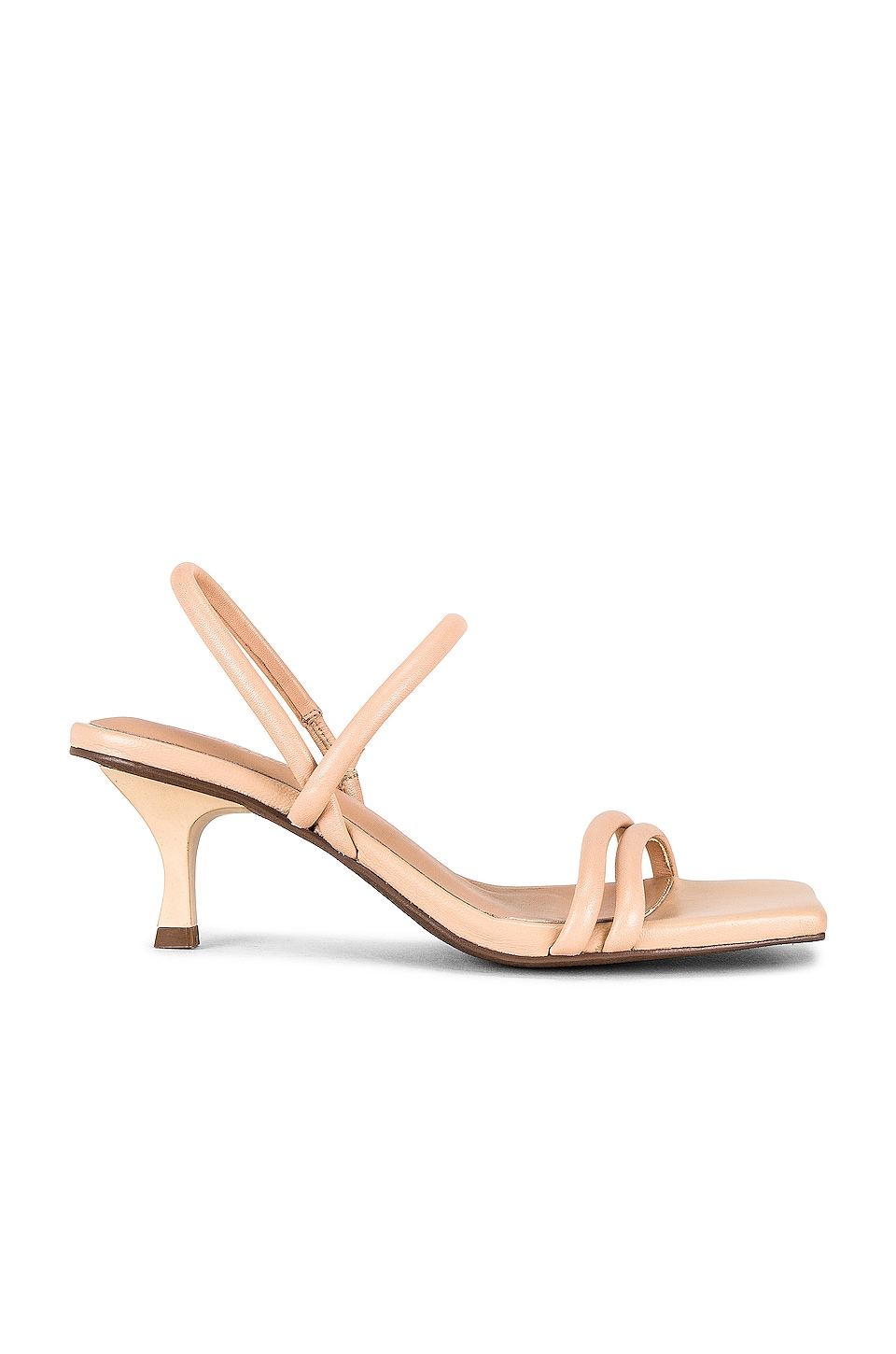 Seychelles Banks Heel